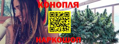 СК Краснодар