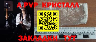 СК Краснодар