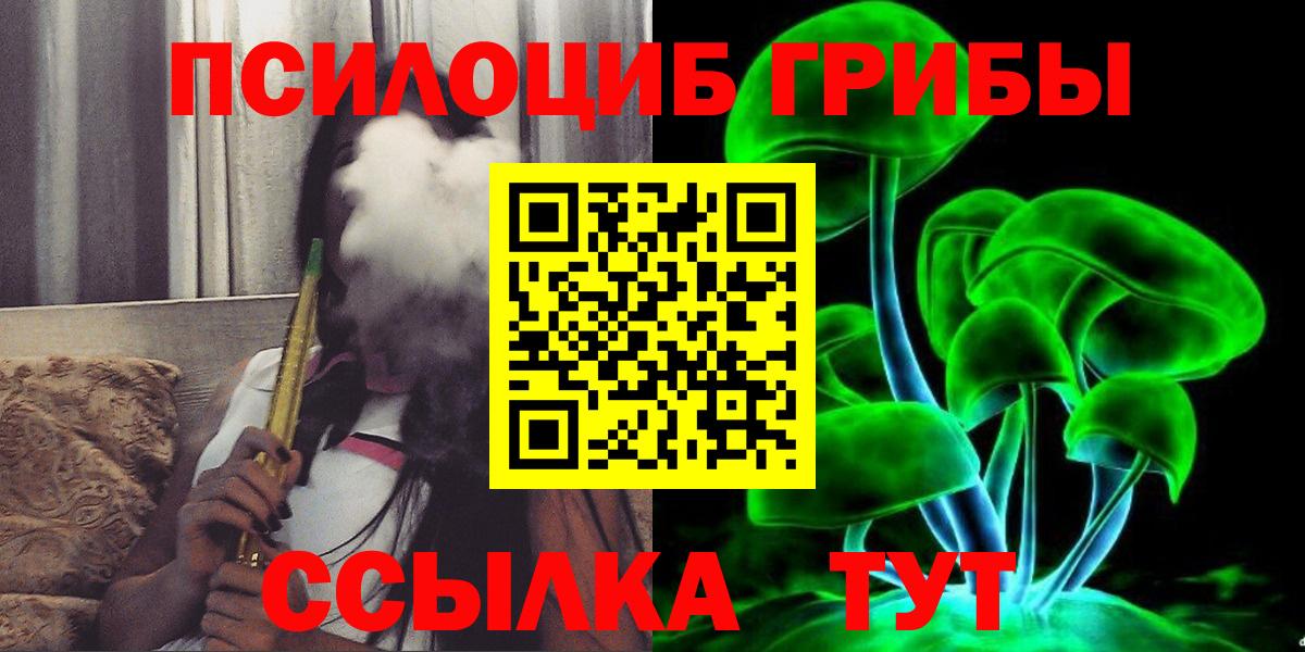 Кашира  продажа наркотиков  Вход с VPN  Псилоцибиновые грибы Psilocybe  Псилоцибиновые грибы Magic Shrooms 