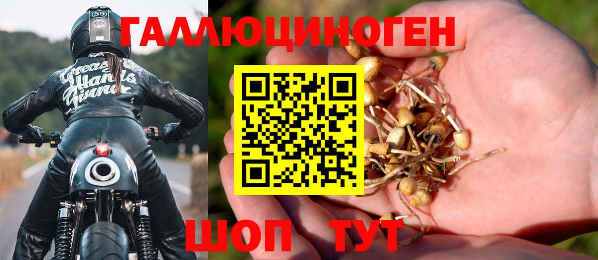 Галлюциногенные грибы Cubensis Кашира